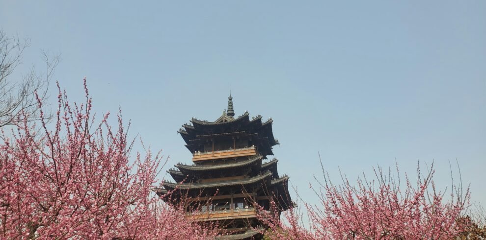 image of a pagoda and cherry blossom trees